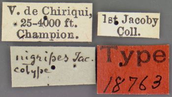 Media type: image; Entomology 18763   Aspect: labels